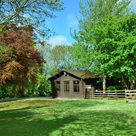 海尔37 Trevithick Court, Tolroy Manor别墅 外观 照片